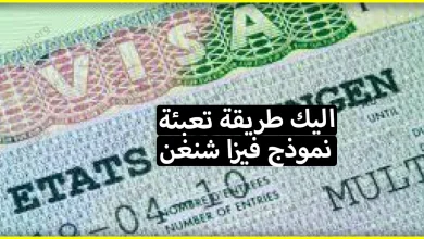 طريقة تعبئة نموذج فيزا شنغن + روابط لتحميل استمارات تاشيرة شنغن لكل الدول الاوروبية