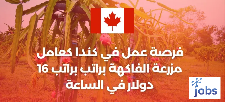 كندا | فرصة عمل كعامل مزرعة الفاكهة