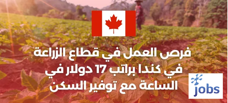 كندا | فرص العمل في قطاع الزراعة مع توفير السكن