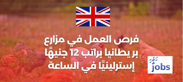 بريطانيا | فرص العمل في المزارع