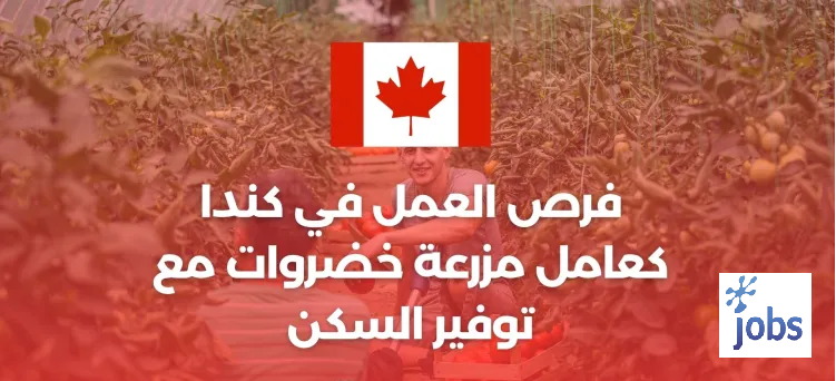 كندا | فرصة العمل كعامل مزرعة خضروات مع توفير السكن