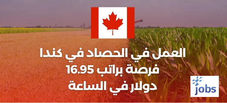 كندا | فرص العمل في الحصاد