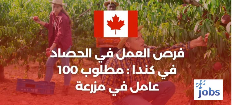 كندا | مطلوب 100 عامل في مزرعة براتب 17 دولار في الساعة