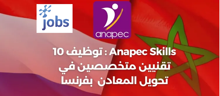 أنابيك سكيلز مطلوب 10 مشغلين للمركبات في فرنسا 2024