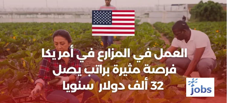 أمريكا | الطلب الموسمي على عمال المزارع في أمريكا