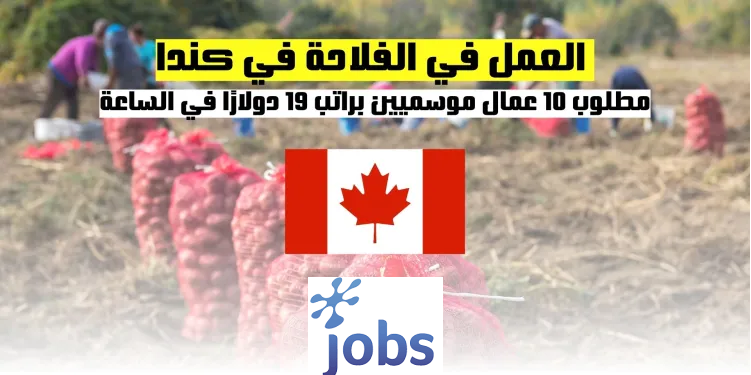 كندا | مطلوب 10 عمال موسميين براتب 19 دولارًا في الساعة