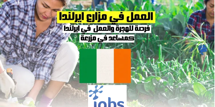 العمل في ايرلندا | فرصة العمل كمساعد مزرعة