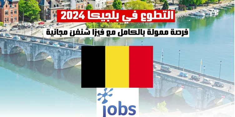 التطوع في بلجيكا | فرصة ممولة بالكامل مع فيزا شنغن مجانية