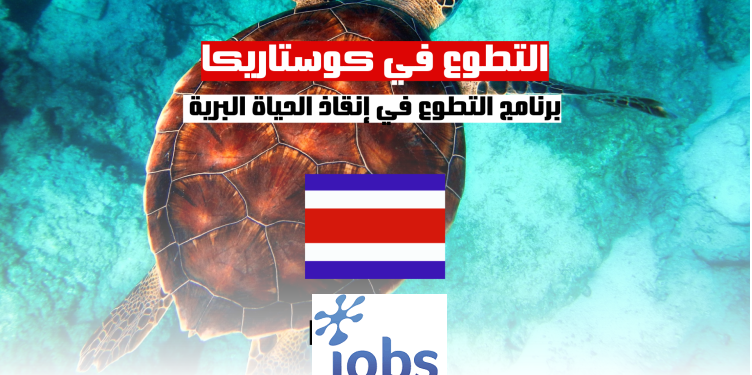 التطوع في كوستاريكا| برنامج التطوع في إنقاذ الحياة البرية