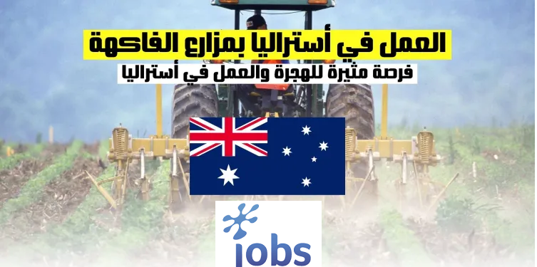 العمل في أستراليا | فرص العمل في مزارع الفاكهة