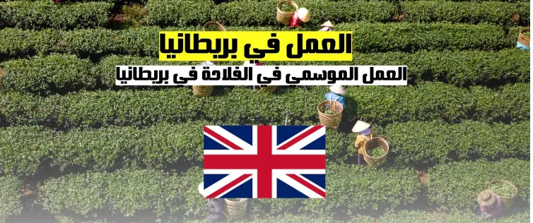 العمل في بريطانيا | عقود العمل الموسمية في الفلاحة