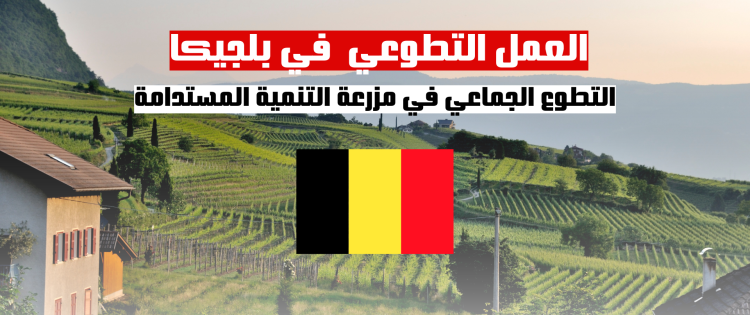 العمل التطوعي في بلجيكا| فرصة  التطوع الجماعي في مزرعة التنمية المستدامة