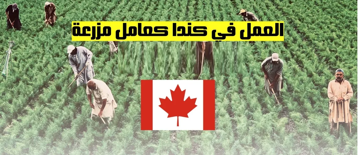 فرص العمل في كندا كعامل مزرعة