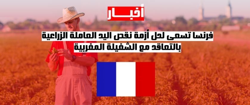 فرنسا تسعى لحل أزمة نقص اليد العاملة الزراعية بالتعاقد مع الشغيلة المغربية